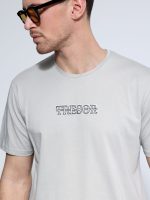 Ανδρικό Βαμβακερό T-shirt FIGARO 33-207081 Γκρι - Image 2